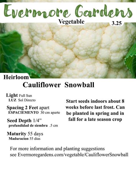 Cauliflower Snowball - Grow Better Gardens