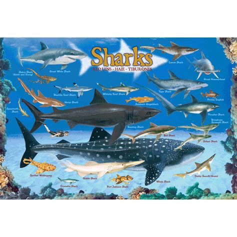 Sharks Jigsaw Puzzle - 100 pieces | Eurographics – MightyToy