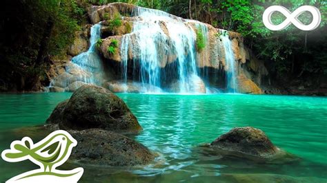 Relaxing Zen Music with Water Sounds • Peaceful Ambience for Spa, Yoga ...