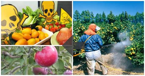 Easy method to remove pesticides from your fruits and vegetables ...