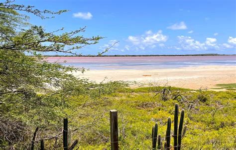 The Salt Flats of Puerto Rico - Cabo Rojo, Las Salinas