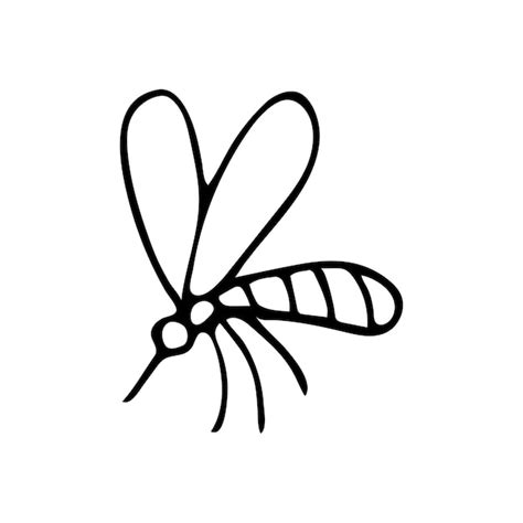 Premium Vector | Hand drawn doodle mosquito Vector insect clipart Outline