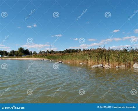 Lake Chany stock image. Image of beach, chany, summer - 161856315