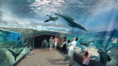 Houston Zoo's $70 million 'Galápagos Islands' exhibit delayed until 2023