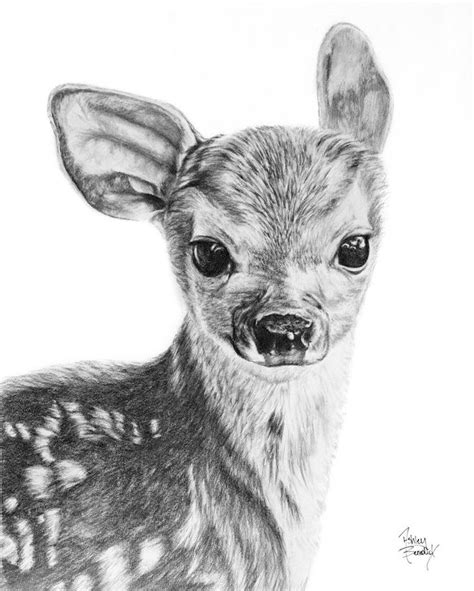 Creature Creations — Studio Sixtyone | Baby animal drawings, Realistic ...