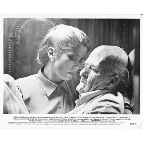 THE HUNGER U.S. Movie Still - 8x10 in. - 1983 5378-10