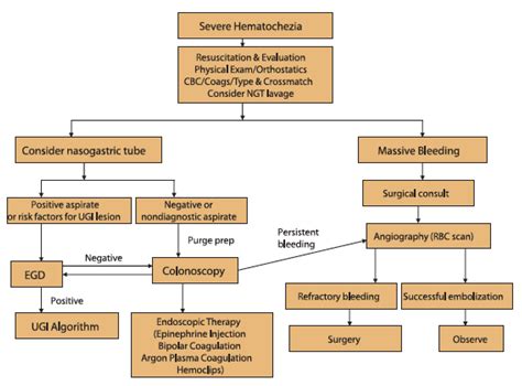 JCM | Free Full-Text | Diagnosis and Management of Non-Variceal ...