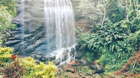 The 5 Best Grenada Waterfalls (With Local Tips) | 2024