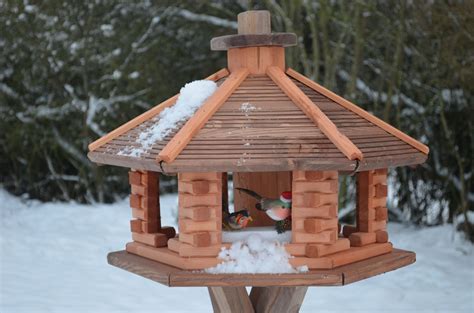 Diy wooden bird feeder a gazebo for the birds – Artofit