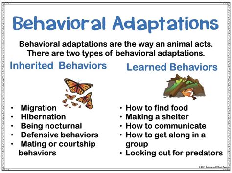 Animal Adaptation