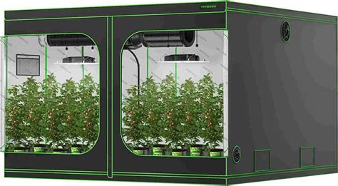 The 3 Best 10x10 Grow Tent Reviews in 2023 - Own Gardening