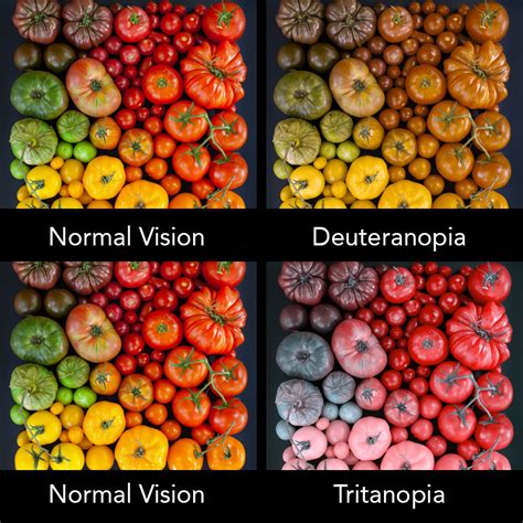 Color Blindness – Designing Through a Different Set of Eyes