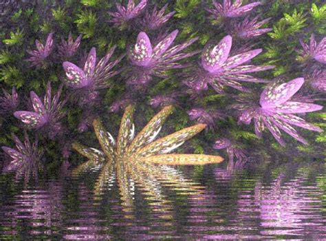 A Tribute to Monet's Water Lilies by twiggypeasticks