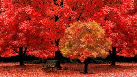 Red Autumn Wallpapers - Wallpaper Cave