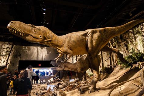 Royal Tyrrell Museum of Palaeontology | The Canadian Encyclopedia