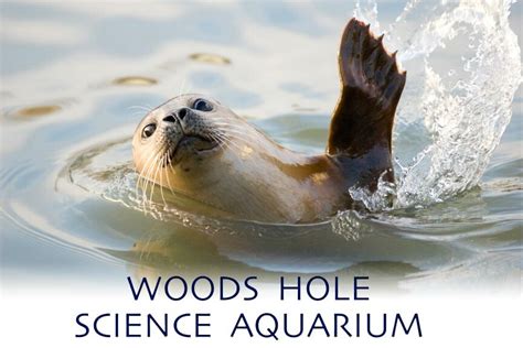 Woods Hole Science Aquarium - America's Oldest Marine Aquarium