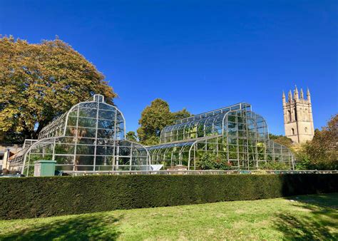 The Glasshouses at the Oxford Botanic Garden | Oxford botanic garden ...