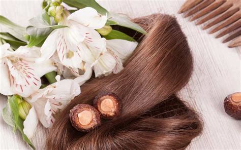 The Ultimate Ayurvedic Hair Care Routine For Healthy Hair – Vedix