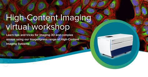 High-Content Imaging virtual workshop