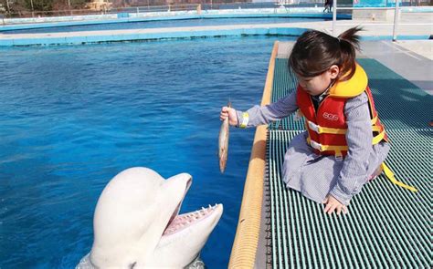 Korea Kids’ Corner: Fantastic family adventure on Geoje Island ...