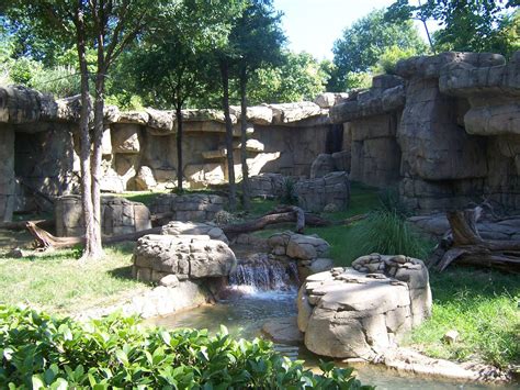 Mandrill habitat - ZooChat