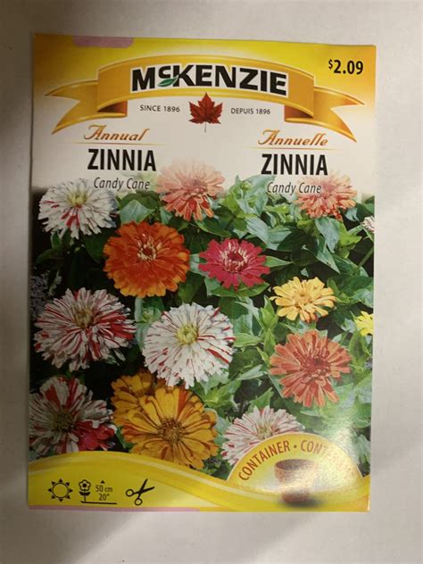 McKenzie Seed - Zinnia Candy Cane | Winnipeg Greenhouses and Garden ...