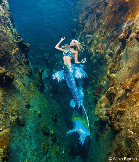 35+ Mermaid Wallpaper Beautiful Real Real Life Mermaid PNG