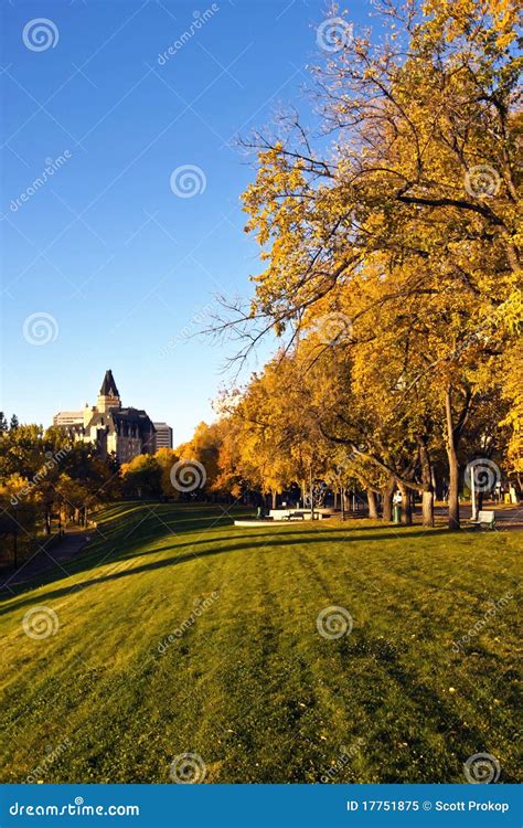 Fall colors in the park stock image. Image of november - 17751875