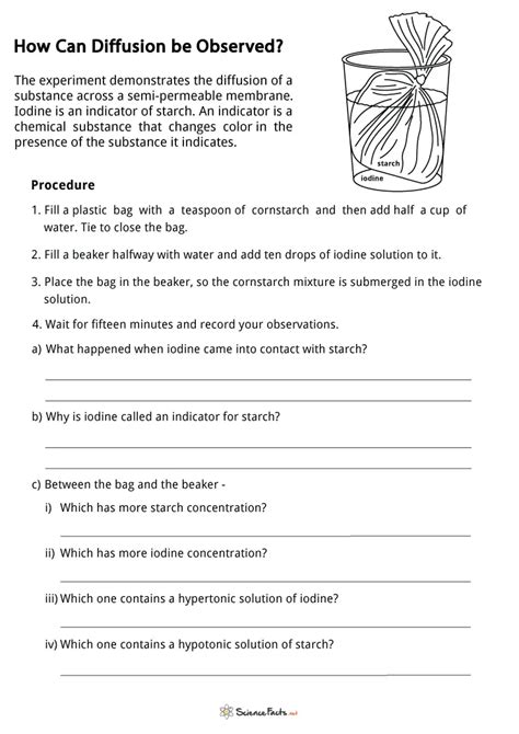 Diffusion Worksheets Free Printables, 53% OFF