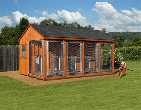 Dog Kennel Business Gets an Online Facelift – ShedBuilder Magazine