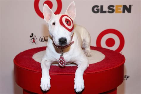 Who Is the Target Dog? | Reader's Digest