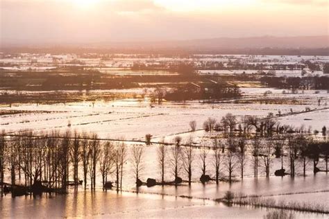 Could Somerset Levels flooding disaster happen again? We spoke to ...