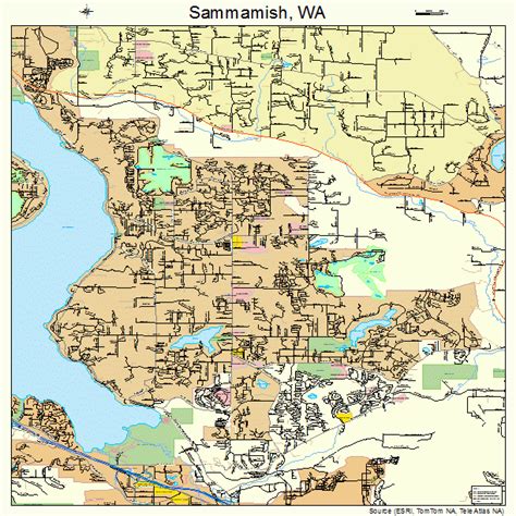 Sammamish Washington Street Map 5361115