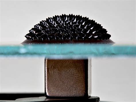 File:Ferrofluid Magnet under glass edit.jpg - Wikipedia