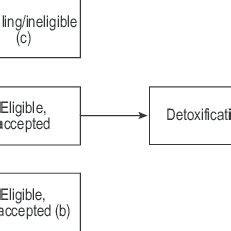 The NSW Drug Court process | Download Scientific Diagram