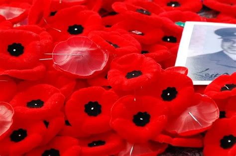 Royal Canadian Legion launches Remembrance Day poppy sales | 650 CKOM