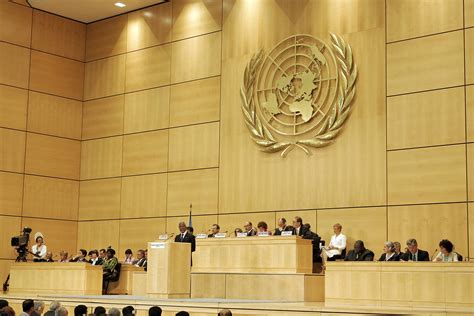 The UN resolution on reparations: what to expect | Ukrainian and World ...