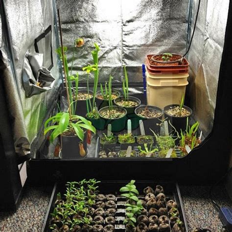 Premium Complete Indoor Grow Tent Kits– Zincera