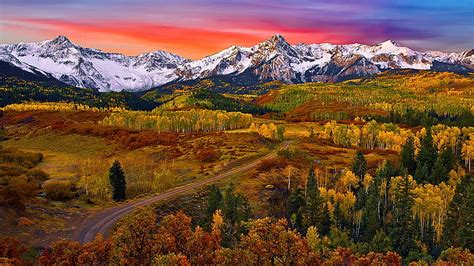 HD wallpaper: autumn colors, forest, mount sneffels, wilderness, san ...