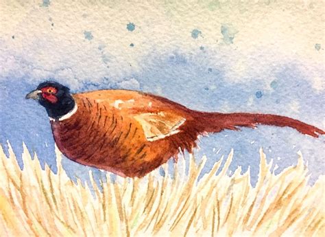 Original Watercolor Pheasant Painting ACEO Art Card #Traditional | Art ...