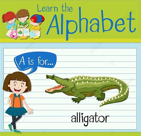 Flashcard Letter A Is For Alligator English Adorable Activity Vector ...