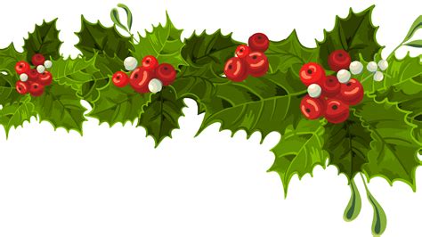 transparent mistletoe clipart - Clip Art Library