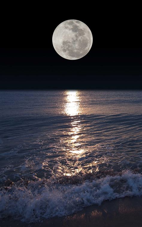 Moonlight Wallpapers - 4k, HD Moonlight Backgrounds on WallpaperBat