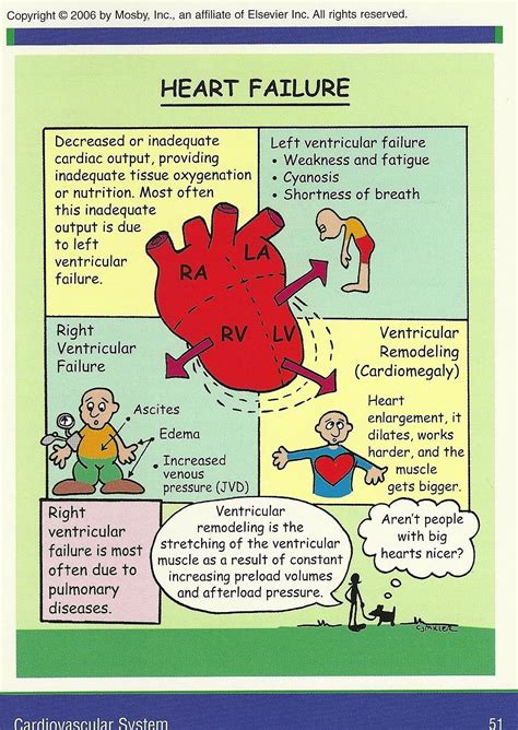 Heart Failure System Disorder Template