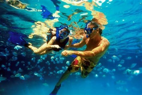 Snorkeling in Cancun: Tips for Beginners