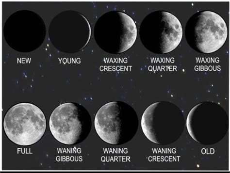 Moon phases in picture - waxing and waning - crescent and gibbous ...