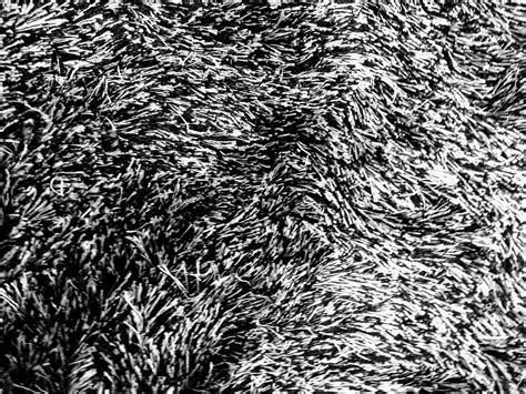 Black And White Thick Rug Texture Free Stock Photo - Public Domain Pictures