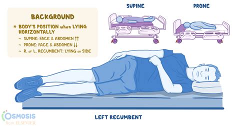 Recumbent Position: What Is It, Variations, and More | Osmosis