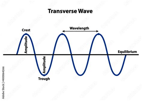 Transverse wave with properties of structure and form showing crest ...