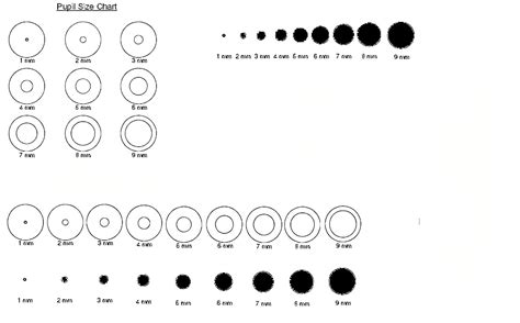 Pupil Size Chart Printable | Portal.posgradount.edu.pe